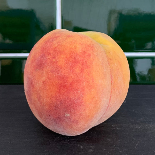 Amarillo Peach x1