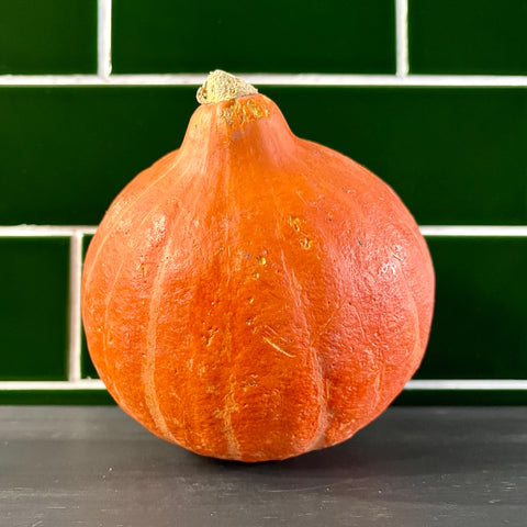 Onion Squash x1