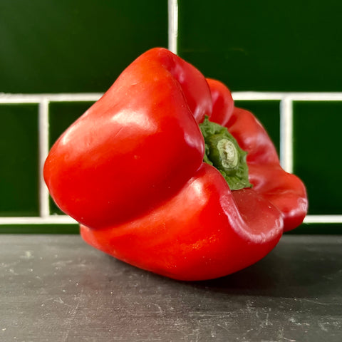Large Red Pepper x1